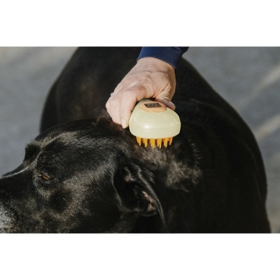 Pessoa a escovar pelo de cão preto com pincel amarelo e cerdas laranjas