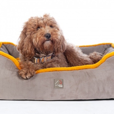 Cama para cão cinzenta com interior amarelo e cão castanho deitado
