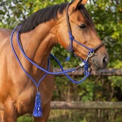 Cavalo castanho com cabresto em corda azul e castanha e rédea azul, com adorno de pena e redemoinho de sonhos, na natureza