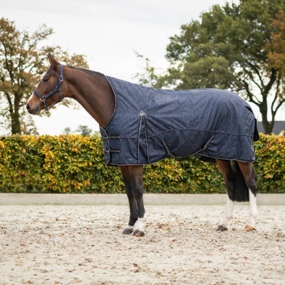 Cavalo castanho com manta azul escura estampada ao ar livre