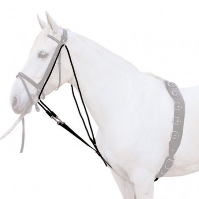 Cavalo branco com cabresto e peitoral em couro cinzento