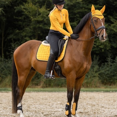 Mulher montada num cavalo com equipamento amarelo e roupa preta, cenário exterior com árvores.