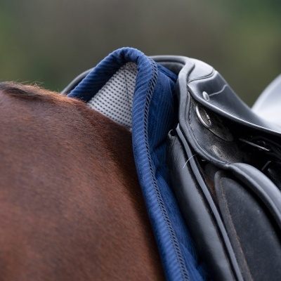Sela preta em pele com espuma azul em cavalo castanho