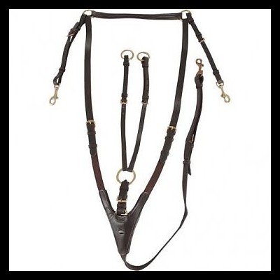 Conjunto de arreios de couro castanho escuro com fivelas douradas