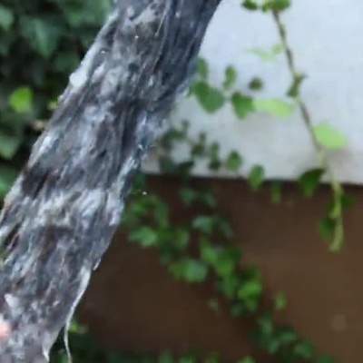 Pessoa a lavar e aplicar produto no pelo de um cavalo com água e espuma.