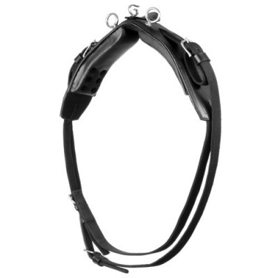 Arnês preto acolchoado para cães com fivelas metálicas