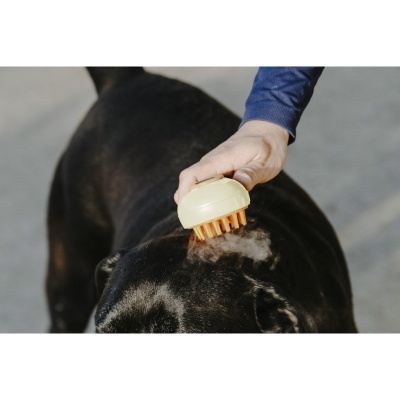 Escova amarela a pentear cão preto