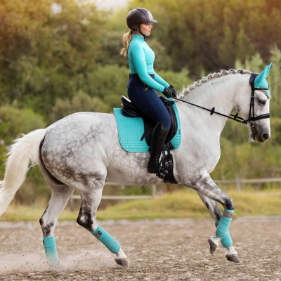 Cavalo cinzento com sela azul turquesa e cavaleira com roupa azul turquesa ao ar livre