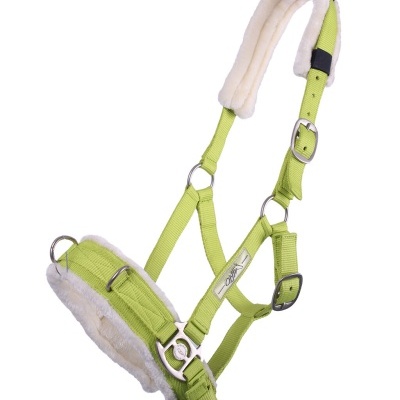 Cabresto verde com acolchoamento branco e fivelas metálicas