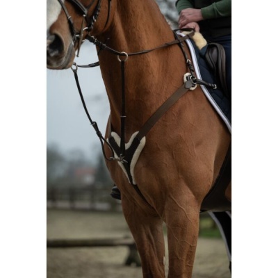 Cavalo castanho com sela preta e equipamentos de equitação em arena