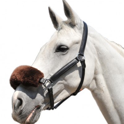 Cavalo branco com cabresto preto e almofada castanha no nariz