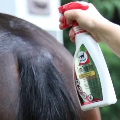 Pessoa a borrifar cavalo com produto em pulverizador branco e vermelho