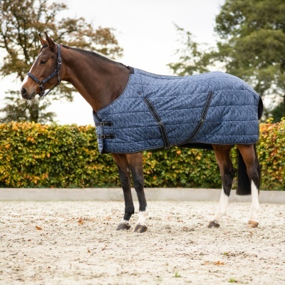 Cavalo com manta azul acolchoada em ambiente exterior