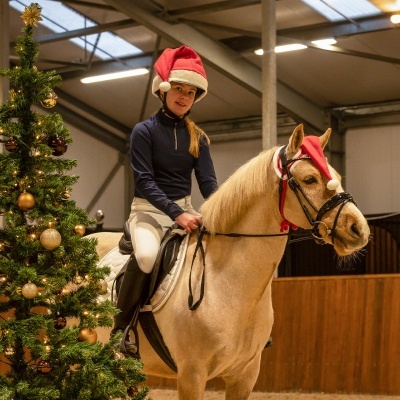 Pessoa a montar cavalo com decoração de Natal no interior