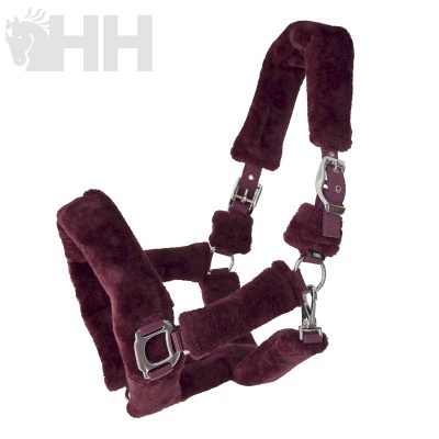 Cabresto castanho aveludado para cavalo com ferragens prateadas