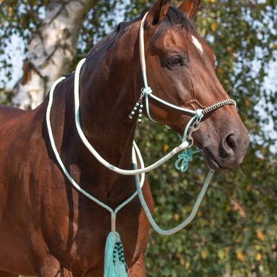 Cavalo castanho com cabresto azul claro com pendente decorativo em zona exterior