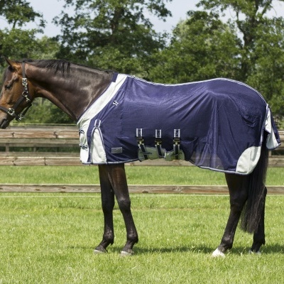 Cavalo com manta azul escura e detalhes brancos em relva, perto de cerca de madeira