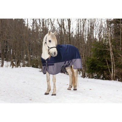 Cavalo branco com manta azul e cinzenta na neve