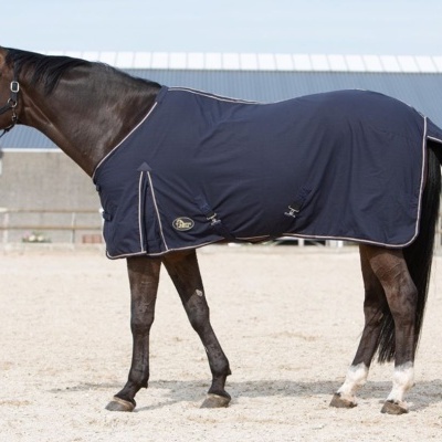 Cavalo com manta preta e bordas brancas em piso de areia junto a edifício