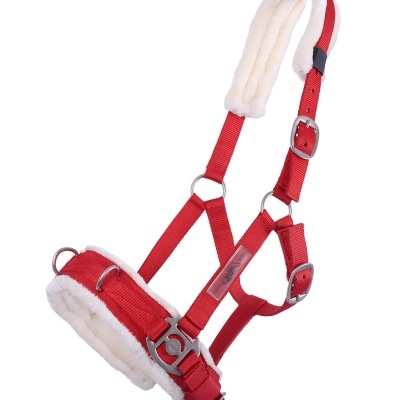 Cabresto para cavalo vermelho com acolchoado branco e fivelas metálicas