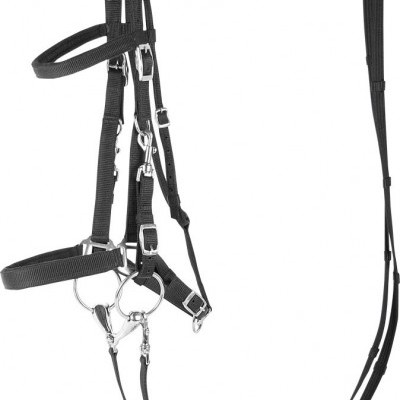 Cabresto e rédeas pretos para equitação com fivelas metálicas