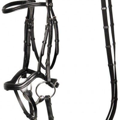 Freio de cavalo em couro preto com fivela em metal prateado e rédeas longas