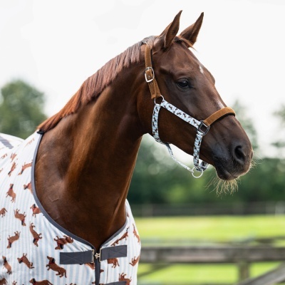 Cavalo castanho com peitoral e cabresto dedicados com padrão de cães