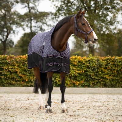 Cavalo castanho com manta preta e cinzenta em ambiente exterior