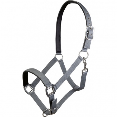 Cabresto azul cinzento para cavalo com fivela prateada