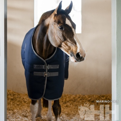 Cavalo com manta azul escura num estábulo