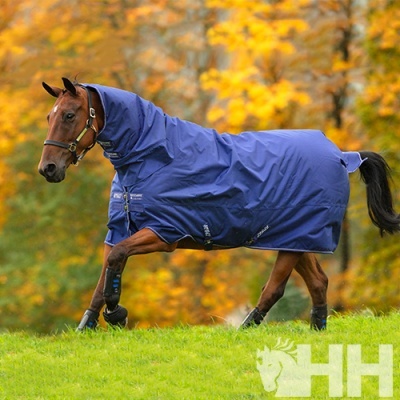 Cavalo com cobertura protectora azul na relva com árvores outonais ao fundo