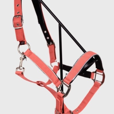 Cabresto para cavalo cor-de-rosa em nylon com partes acolchoadas pretas pendurado num suporte preto