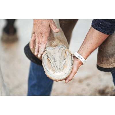 Mãos segurando casco de cavalo limpo com ferradura metálica, fundo desfocado com chão de terra