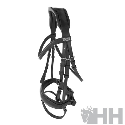Cabeçada de cavalo em couro preto com acolchoamento e fivelas, texto 'HH' numa placa metálica