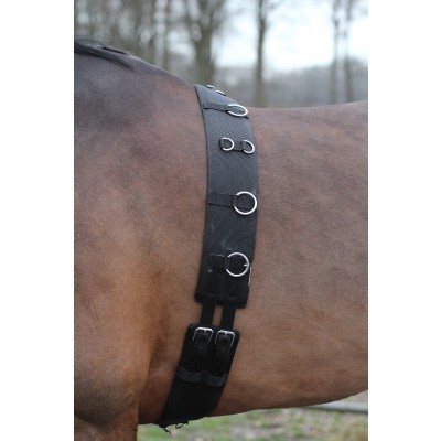 cinta de treino preta com anéis metálicos em cavalo castanho ao ar livre