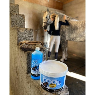 Produtos para cavalos com rótulos azuis, pincel e mulher a escovar cavalo cinzento no estábulo