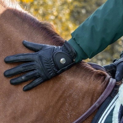 Luvas pretas de equitação numa mão a tocar o pescoço de um cavalo castanho