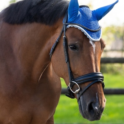 Cavalo com venda azul para orelhas e embocadura preta em área exterior