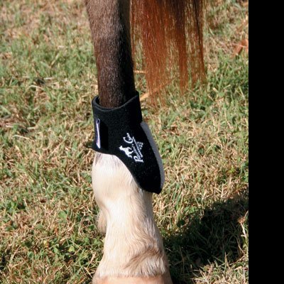 Protetor preto em perna de cavalo sobre relva seca