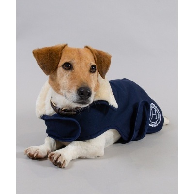 Cão com casaco azul escuro com gola branca felpuda e bordado branco na lateral deitado sobre fundo cinzento