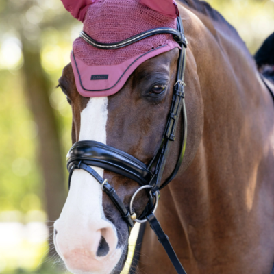 Cavalo castanho com touca rosa e embocadura preta