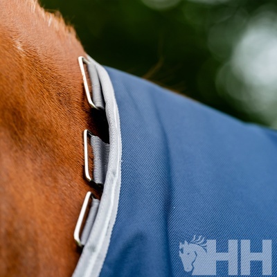 Cobertor azul com fivelas metálicas num cavalo castanho