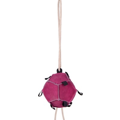Brinquedo para cães rosa em forma de bola com cordas para pendurar