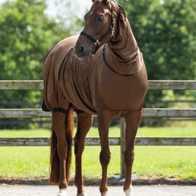 Cavalo castanho com fato elástico castanho num campo com cerca de madeira