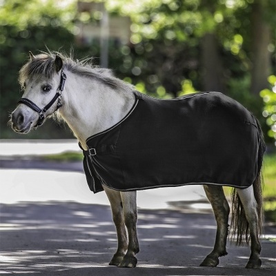 Pônei com manta preta em estrada sombreada