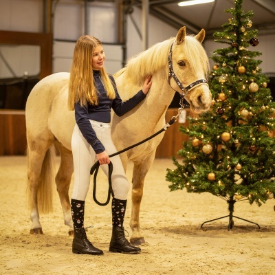 Jovem com cavalo ao lado de árvore de Natal decorada
