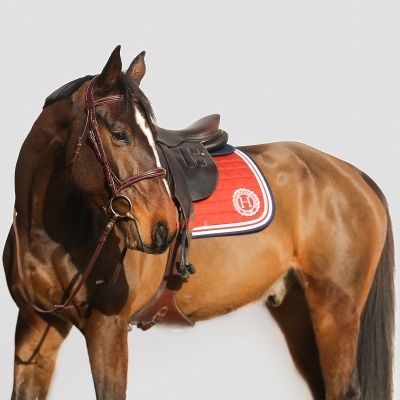 Cavalo com sela e manta vermelha e branca
