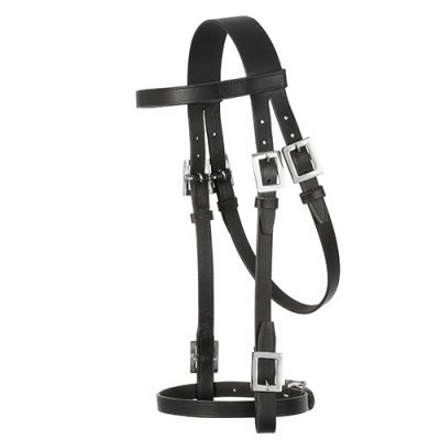 Cabeçada para cavalo em couro preto com fivelas metálicas prateadas