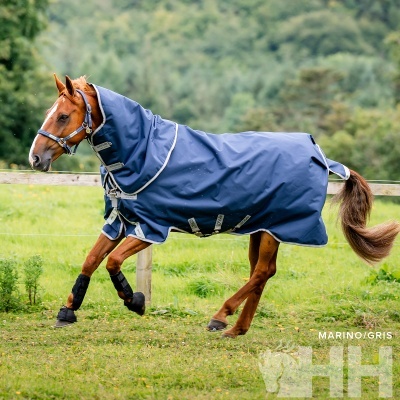 Cavalo castanho com manta azul-marinho em campo verde