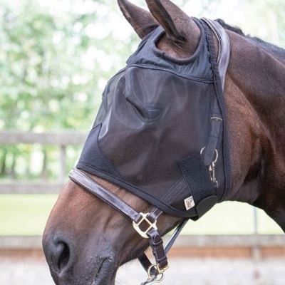 Cavalo castanho com manta preta para olhos e correias de couro
